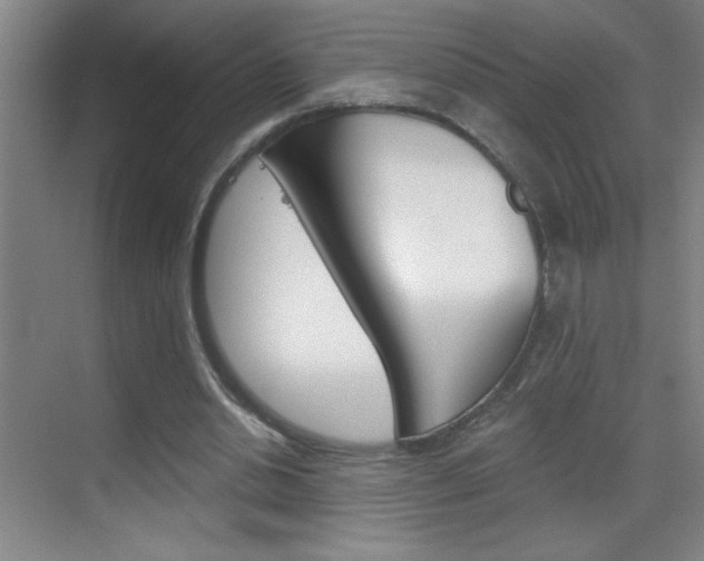 X0000069830438200605190946