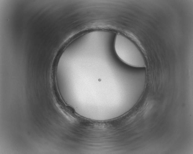 X0000069830439200605190946