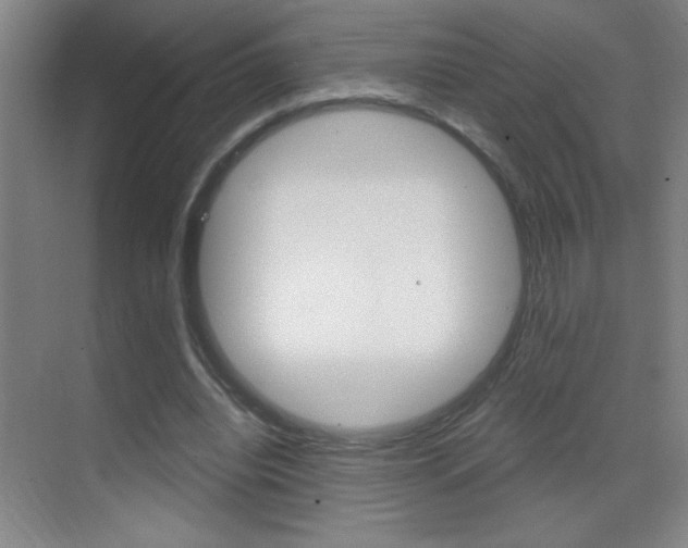 X0000069830440200605190946