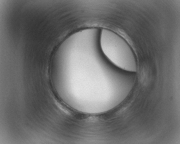 X0000069830441200605190946