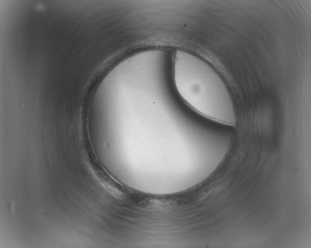 X0000069830442200605190946