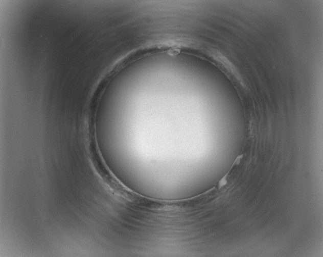 X0000069830444200605190946