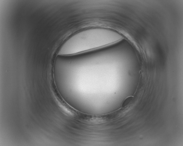 X0000069830445200605190946