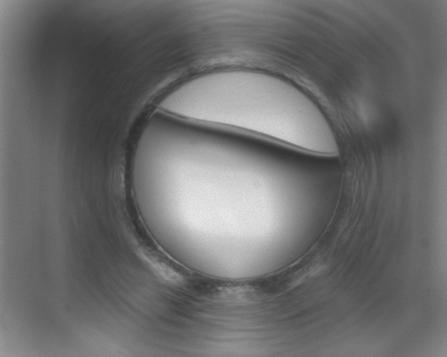 X0000069830446200605190946