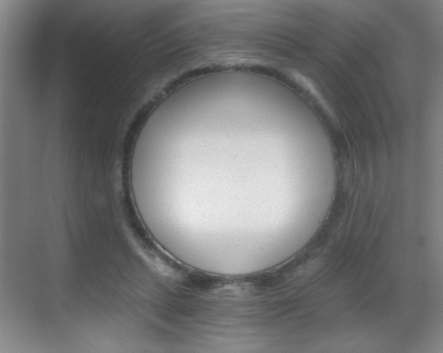 X0000069830447200605190946