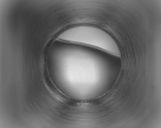 X0000069830448200605190946