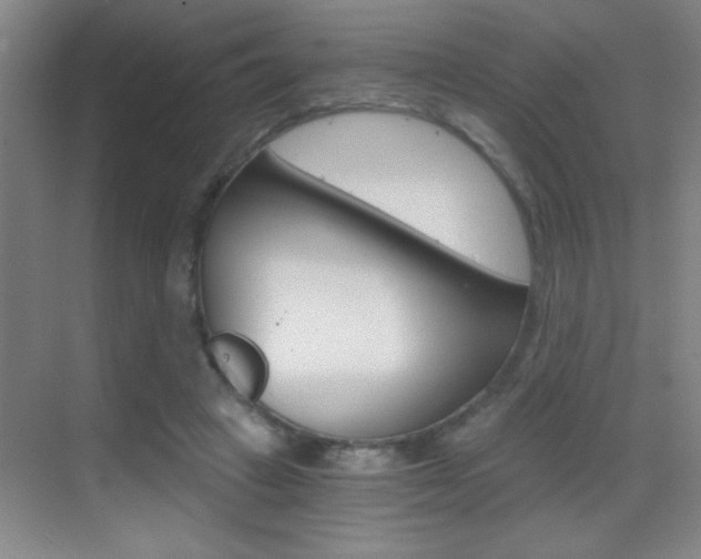 X0000069830449200605190946