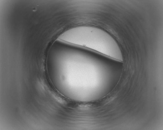 X0000069830450200605190946