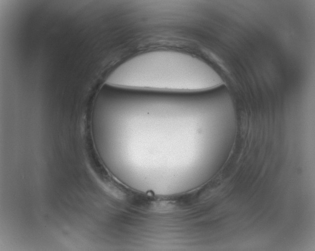 X0000069830451200605190946