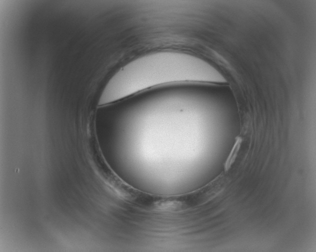 X0000069830452200605190946