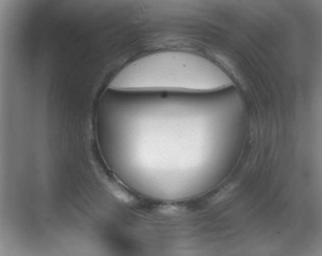 X0000069830453200605190946