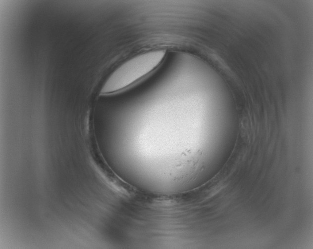 X0000069830454200605190946