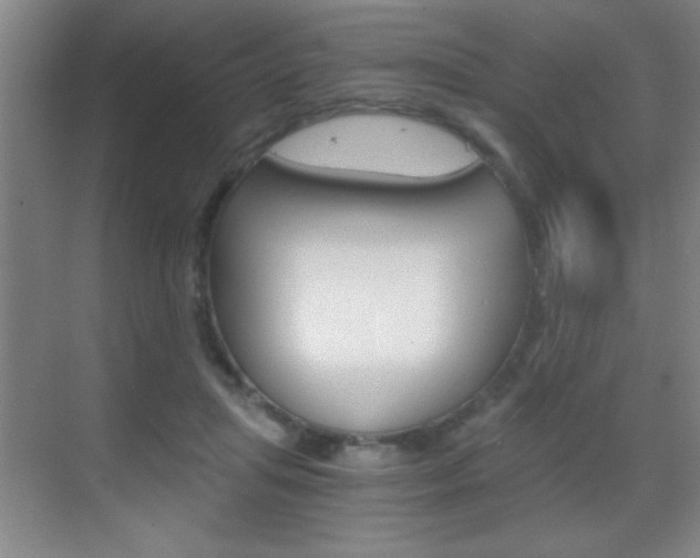 X0000069830455200605190946