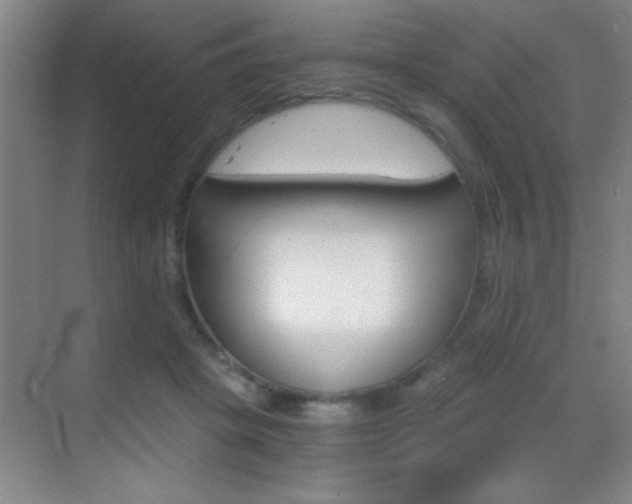 X0000069830457200605190946