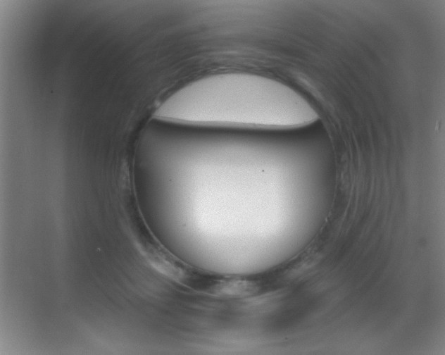 X0000069830459200605190946