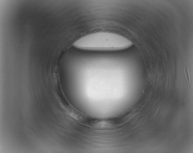 X0000069830460200605190946