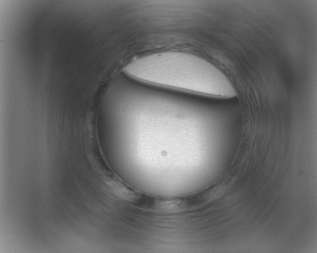 X0000069830461200605190946