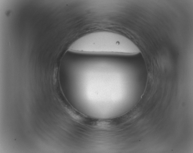 X0000069830462200605190946