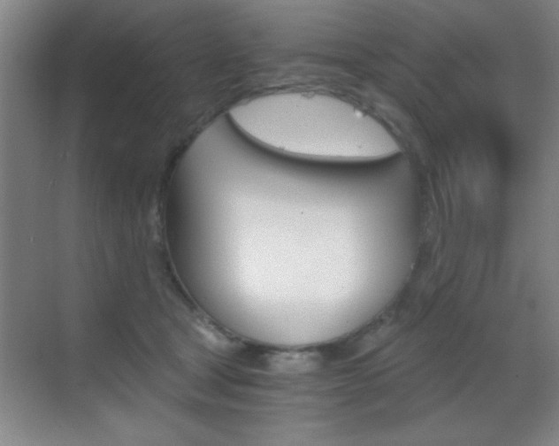 X0000069830465200605190946