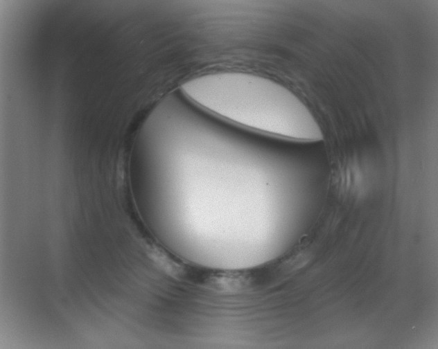 X0000069830466200605190946