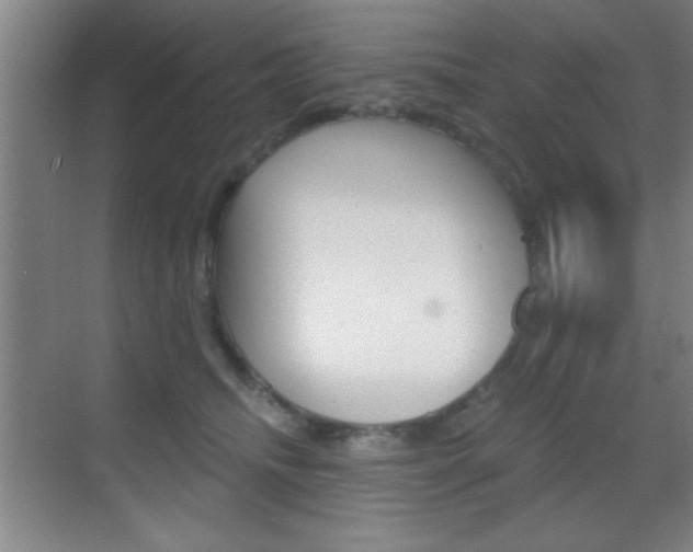 X0000069830468200605190946