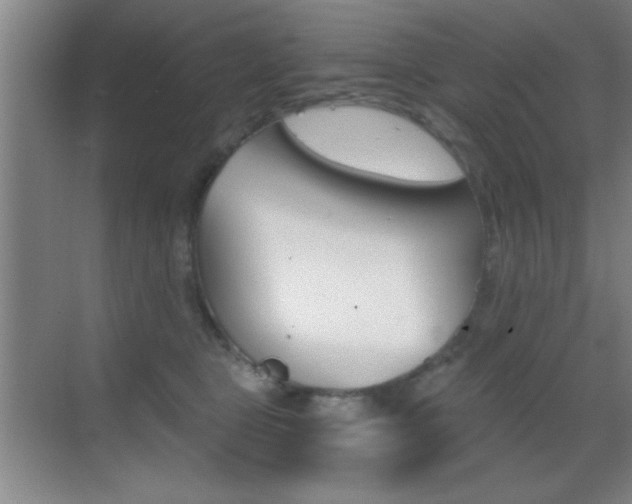 X0000069830469200605190946