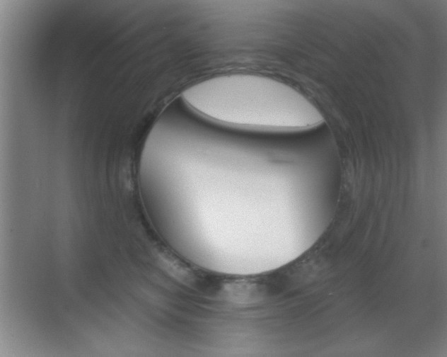 X0000069830470200605190946