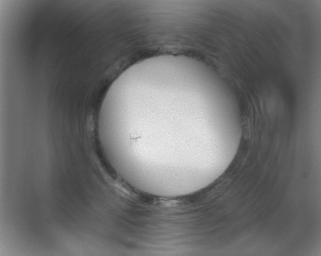 X0000069830472200605190946