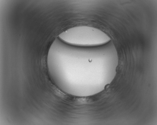 X0000069830473200605190946