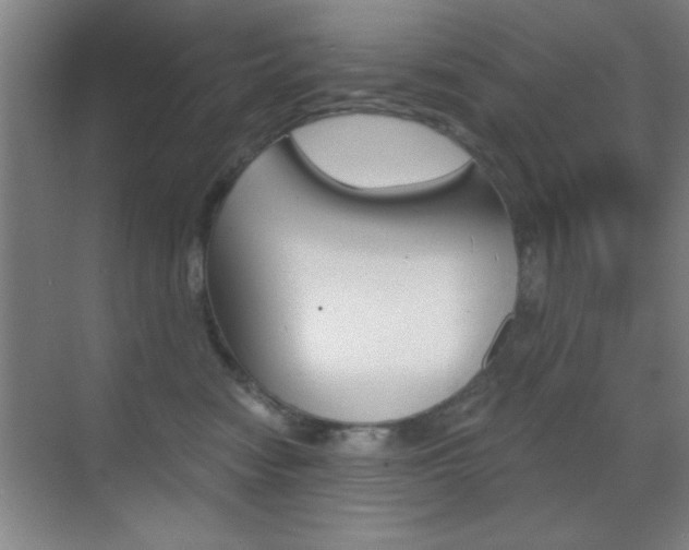 X0000069830474200605190946