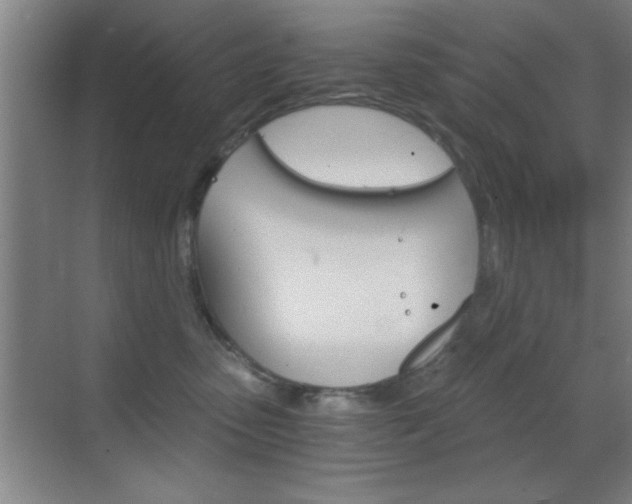 X0000069830475200605190946