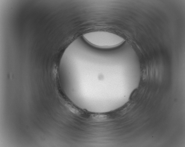 X0000069830476200605190946