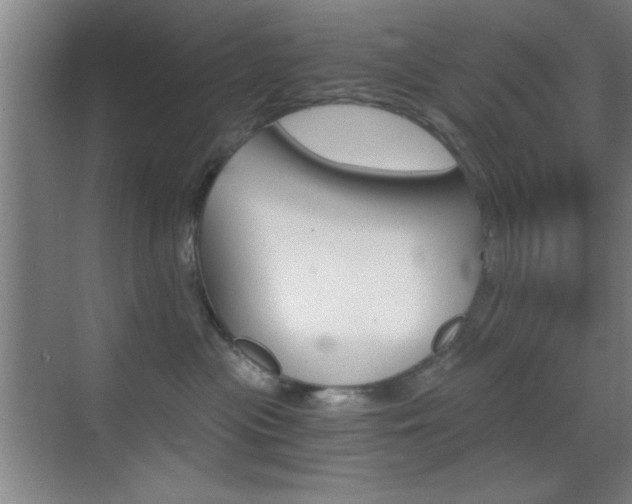 X0000069830477200605190946