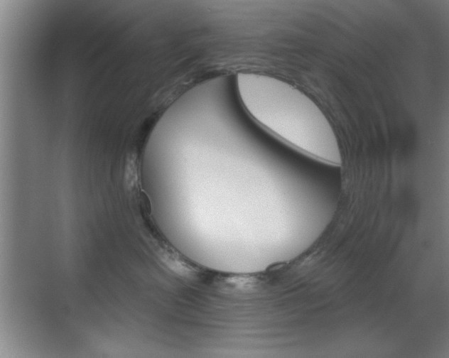 X0000069830478200605190946