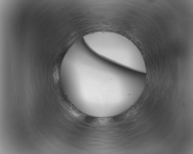 X0000069830479200605190947