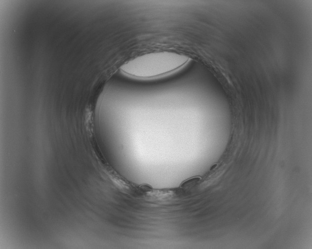 X0000069830480200605190947