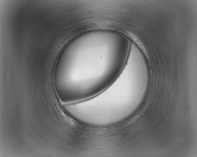 X0000069830481200605190946