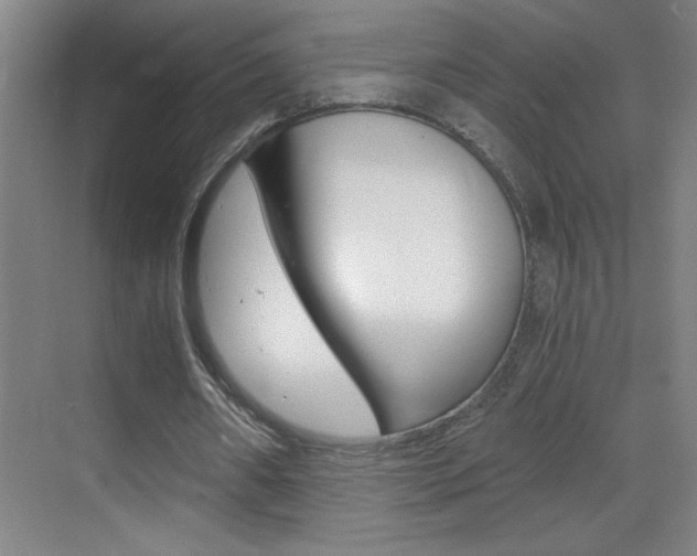 X0000069830482200605190946