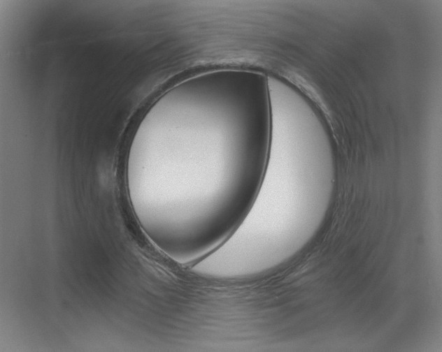 X0000069830483200605190946