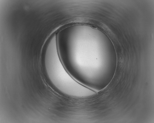 X0000069830484200605190946