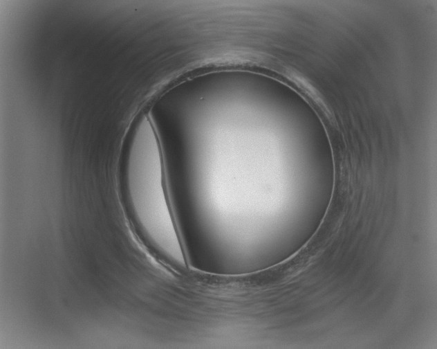 X0000069830485200605190946