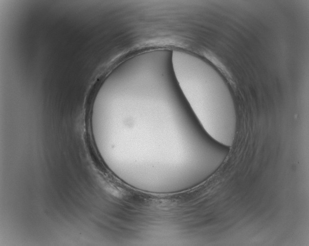 X0000069830486200605190946