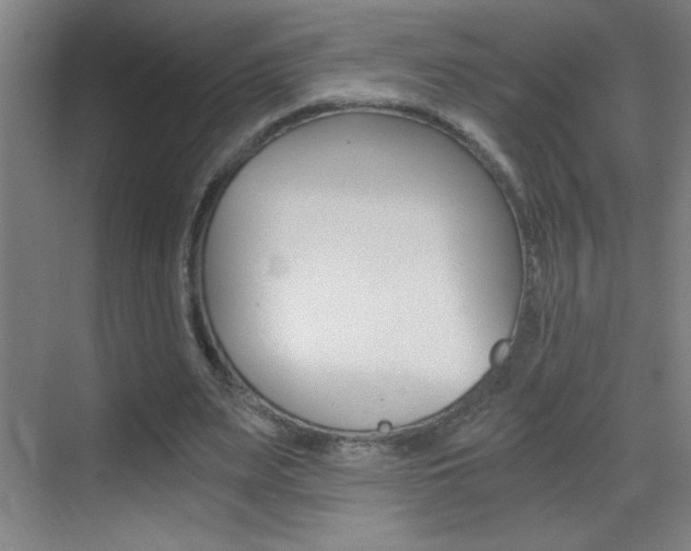 X0000069830487200605190946