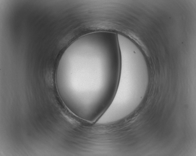 X0000069830489200605190946