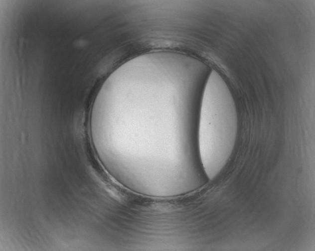 X0000069830490200605190946