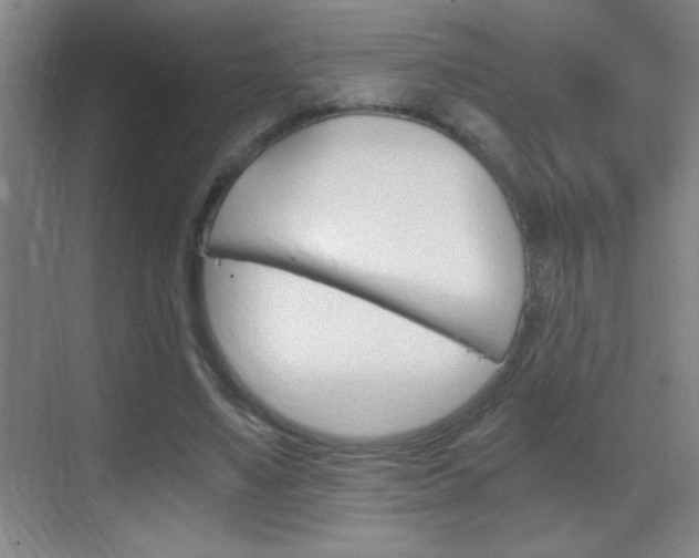 X0000069830491200605190946