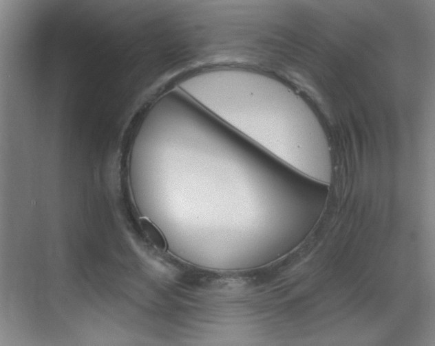 X0000069830492200605190946