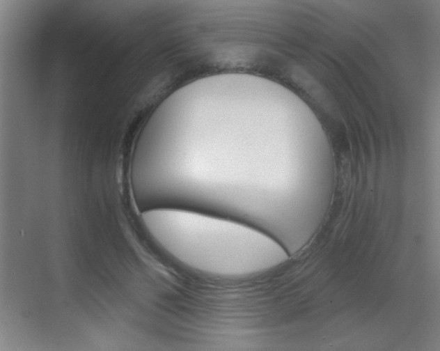 X0000069830494200605190945