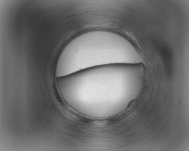 X0000069830495200605190945