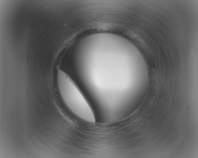 X0000069830496200605190945